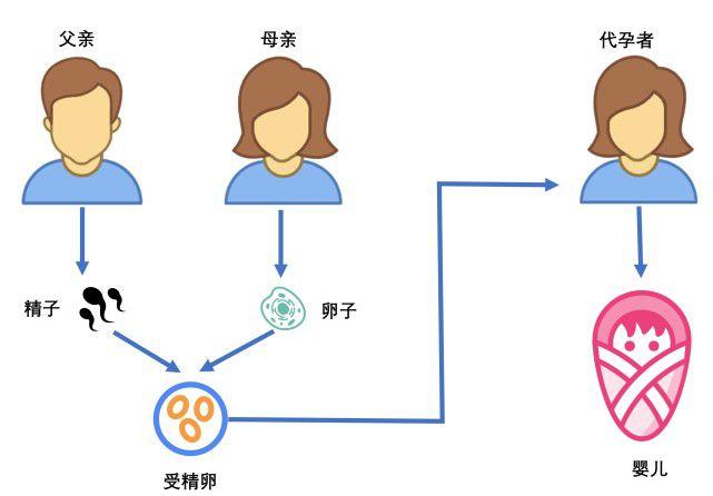 代孕与试管婴儿的区别